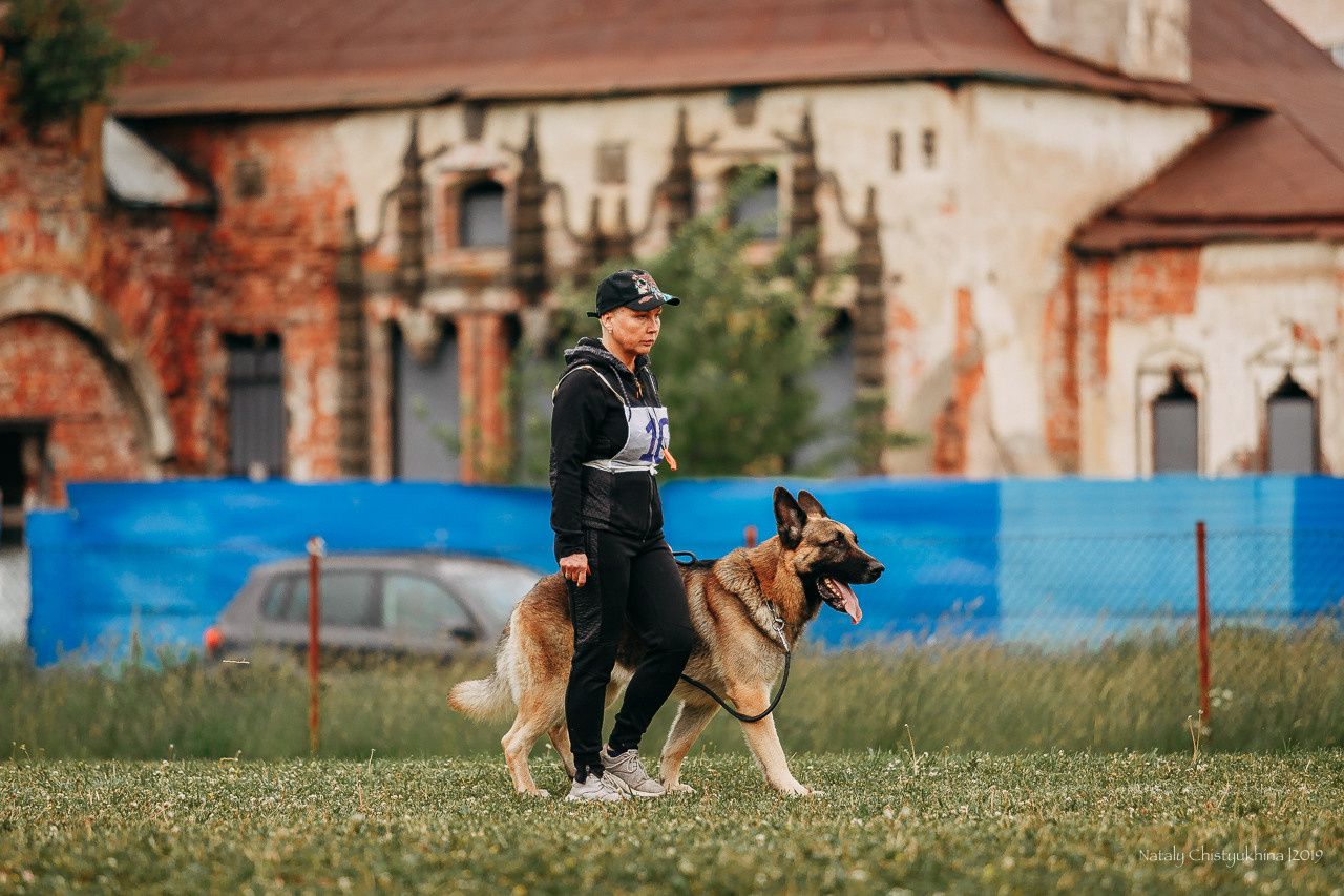 Соревнования БРР. Фотограф-анималист Наталия Чистюхина в г. Сосновый Бор и ЛО