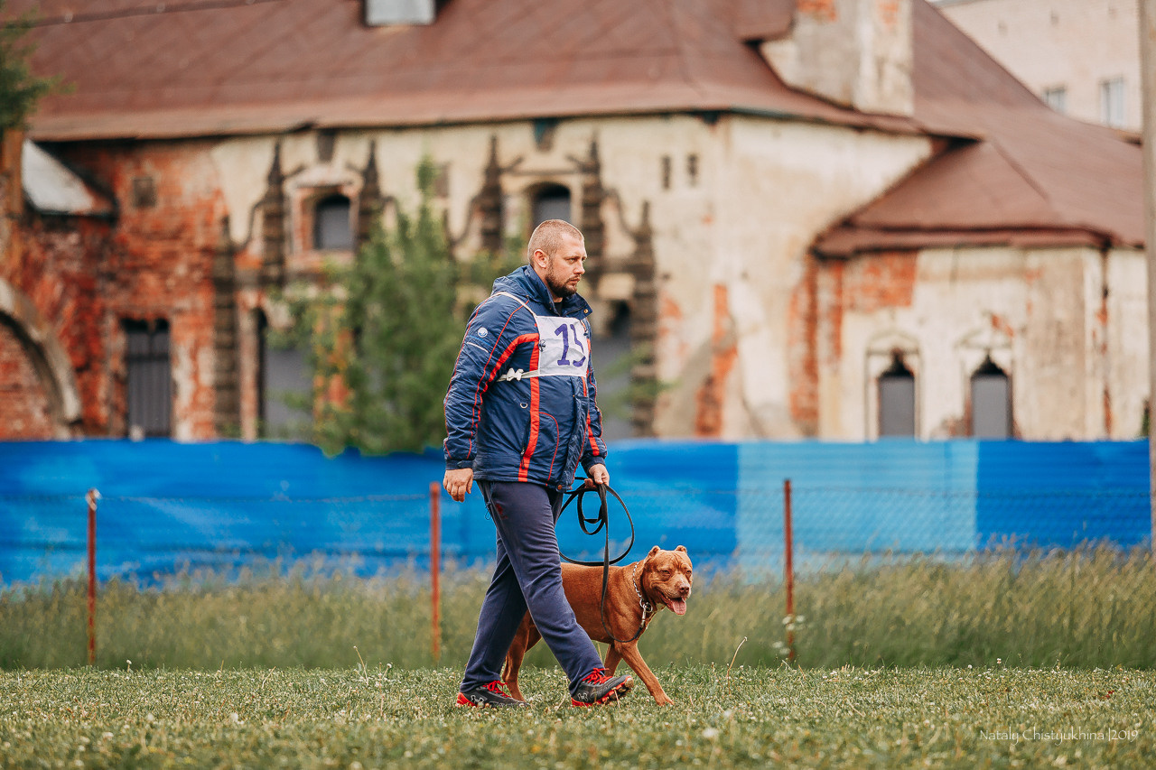 Соревнования БРР. Фотограф-анималист Наталия Чистюхина в г. Сосновый Бор и ЛО
