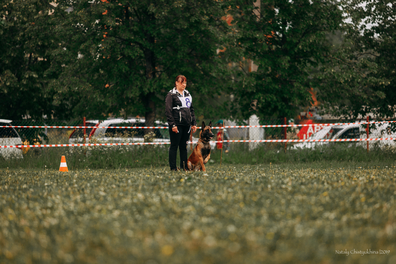 Соревнования БРР. Фотограф-анималист Наталия Чистюхина в г. Сосновый Бор и ЛО