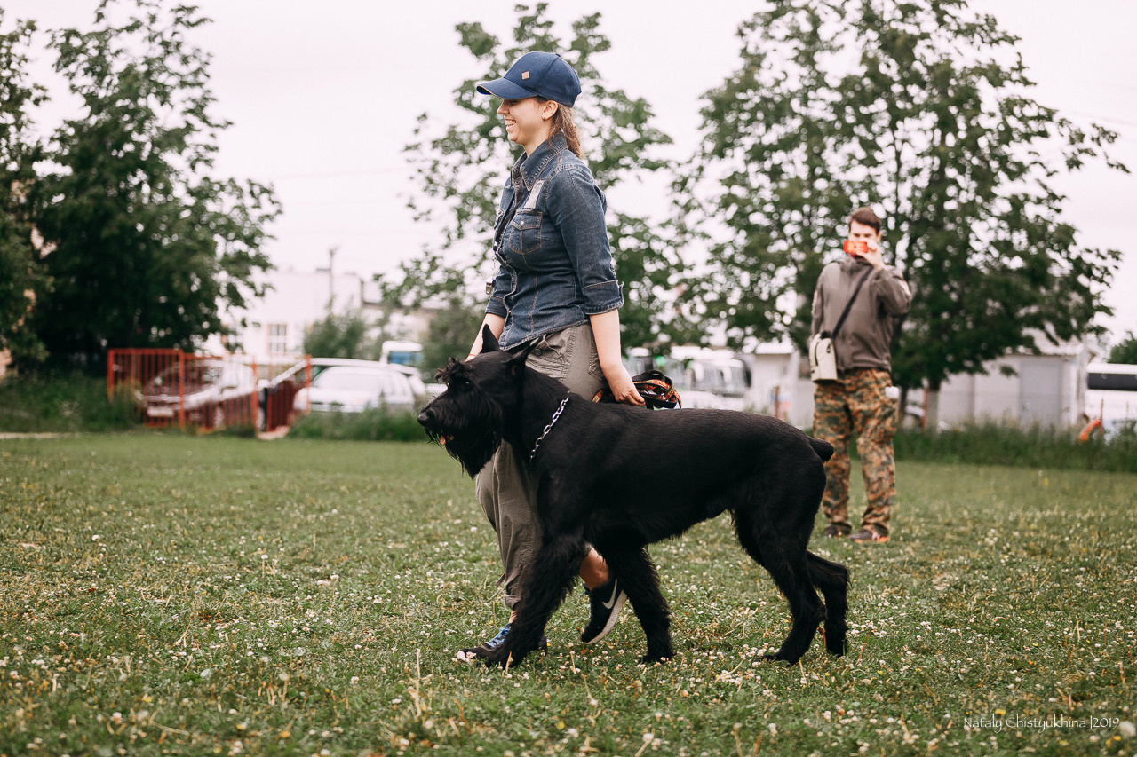 Соревнования БРР. Фотограф-анималист Наталия Чистюхина в г. Сосновый Бор и ЛО
