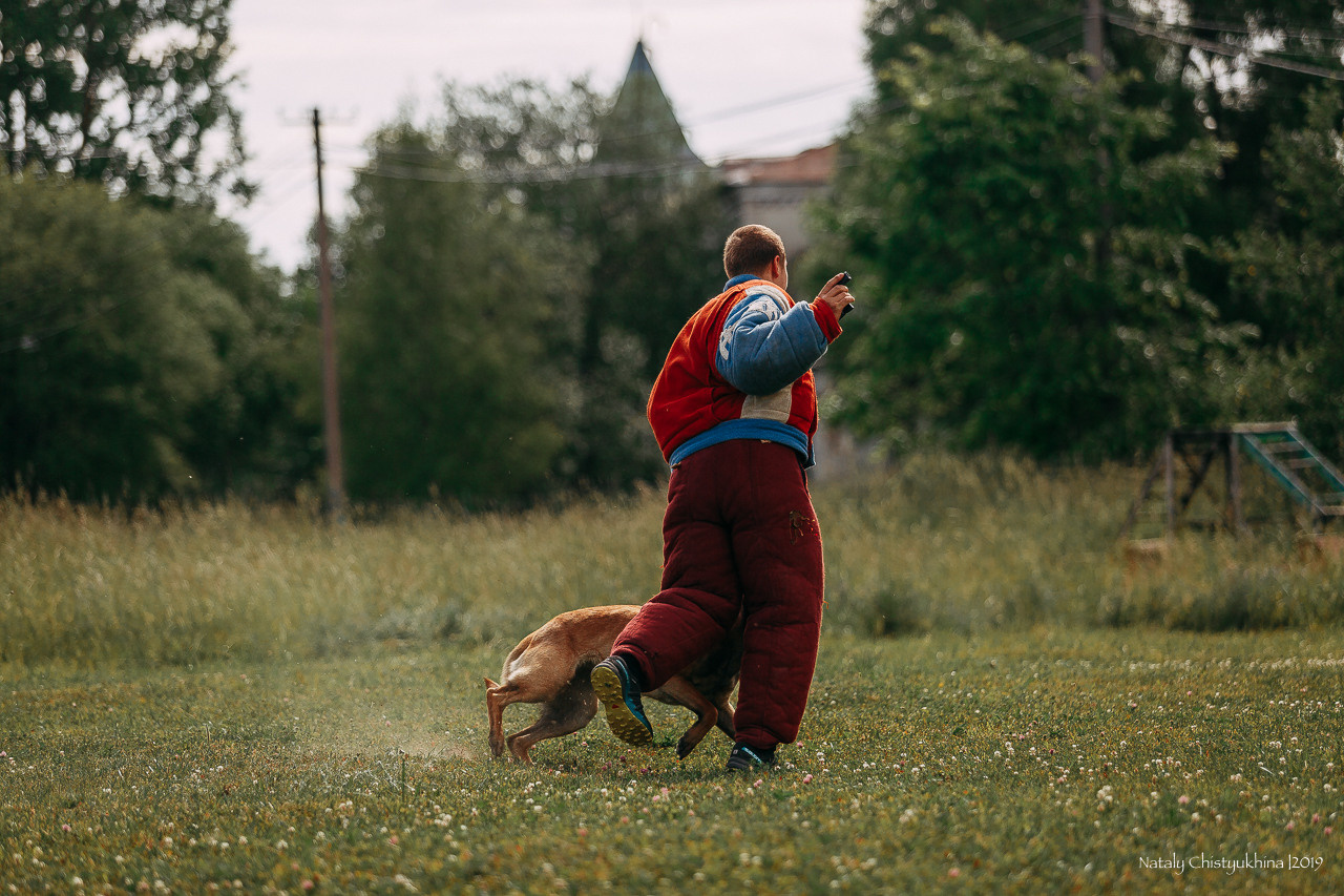 Соревнования по мондьорингу. Фотограф-анималист Наталия Чистюхина в г. Сосновый Бор и ЛО