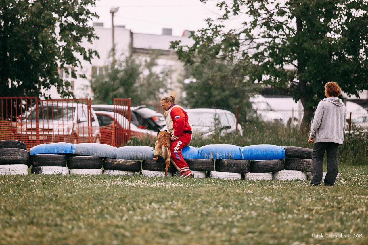 Соревнования по мондьорингу. Фотограф-анималист Наталия Чистюхина в г. Сосновый Бор и ЛО