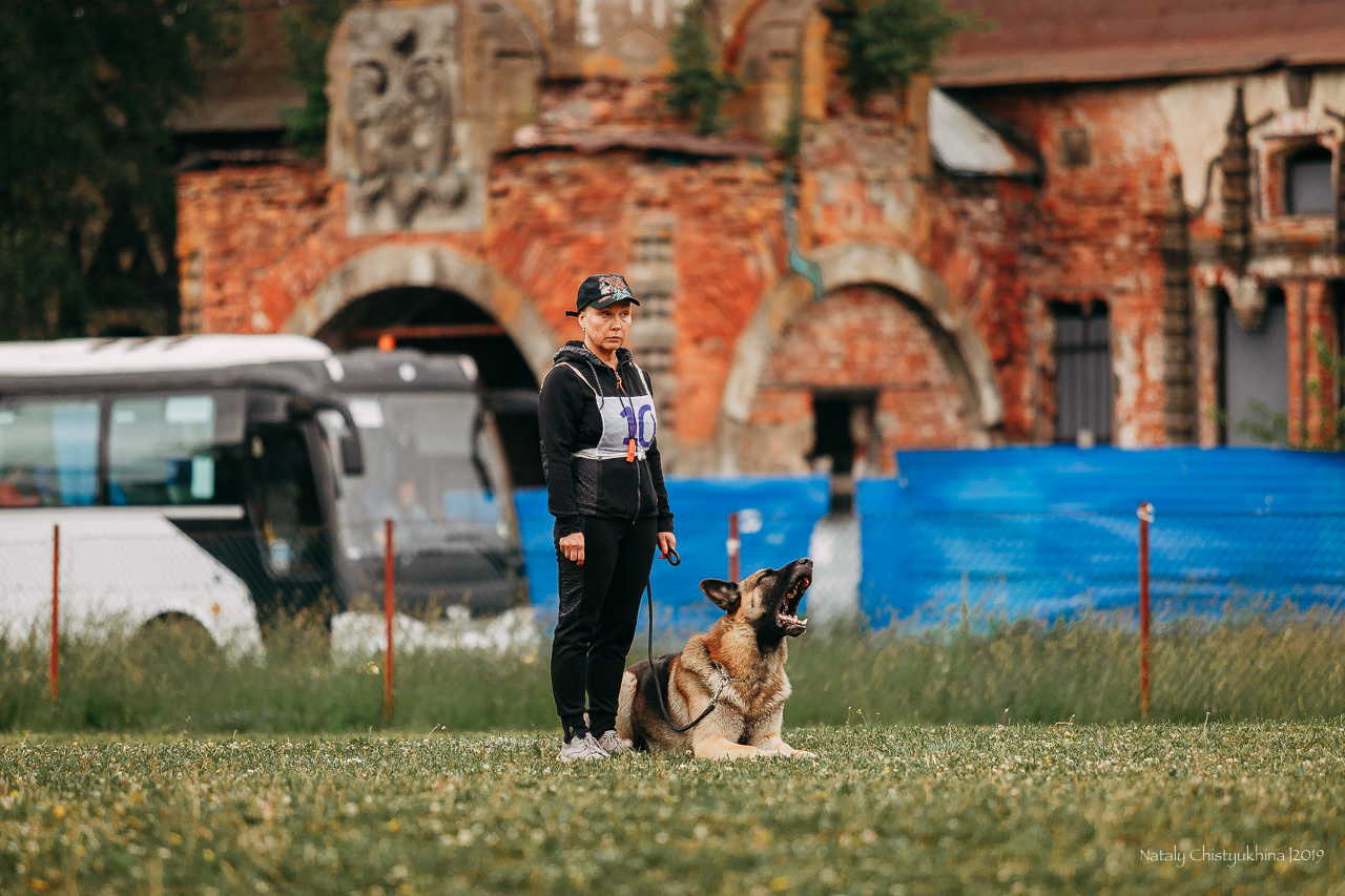 Соревнования БРР. Фотограф-анималист Наталия Чистюхина в г. Сосновый Бор и ЛО