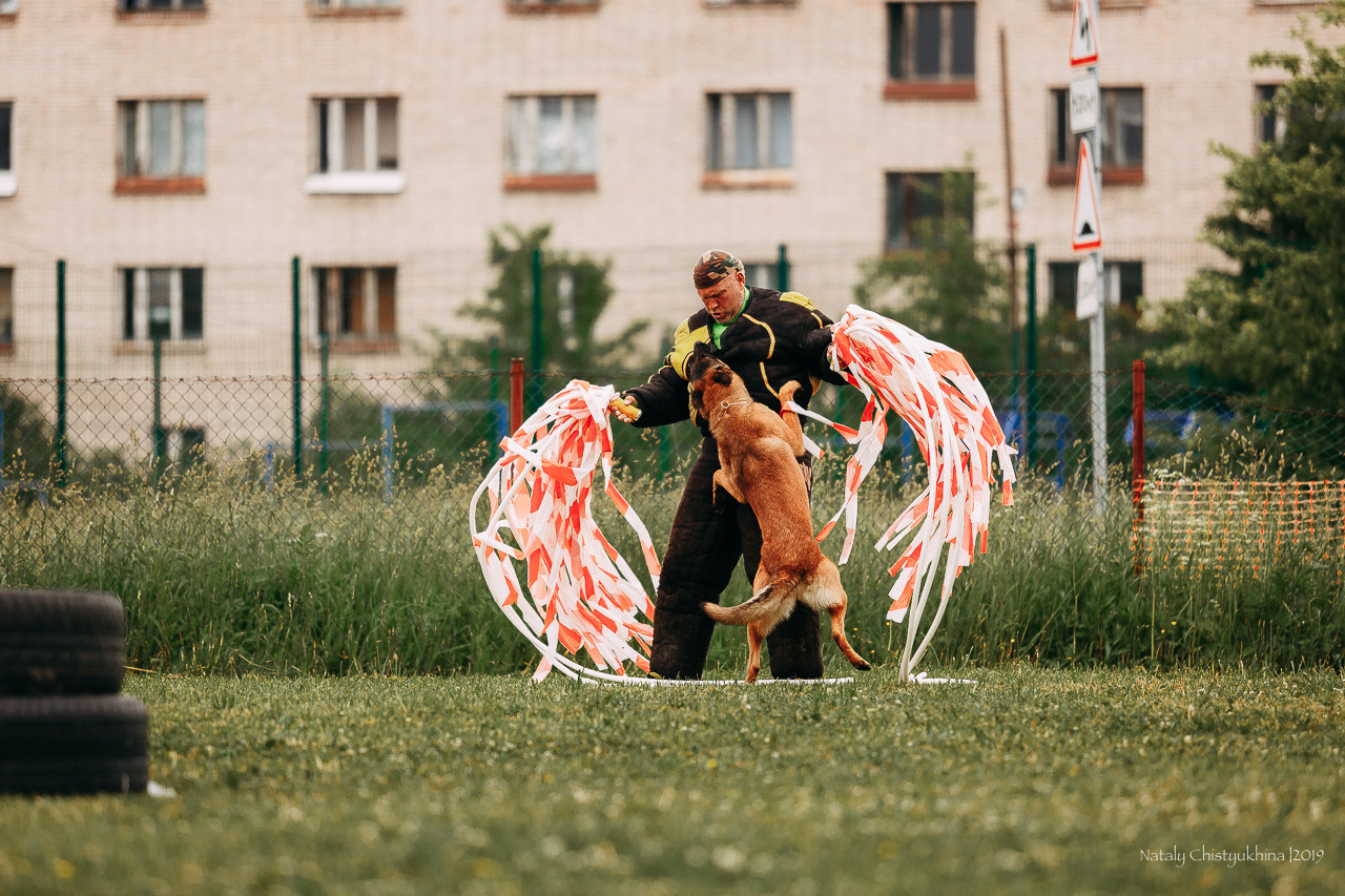 Соревнования БРР. Фотограф-анималист Наталия Чистюхина в г. Сосновый Бор и ЛО