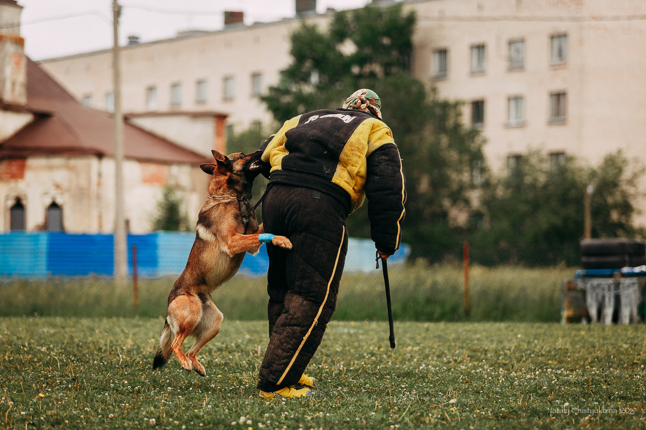 Соревнования БРР. Фотограф-анималист Наталия Чистюхина в г. Сосновый Бор и ЛО