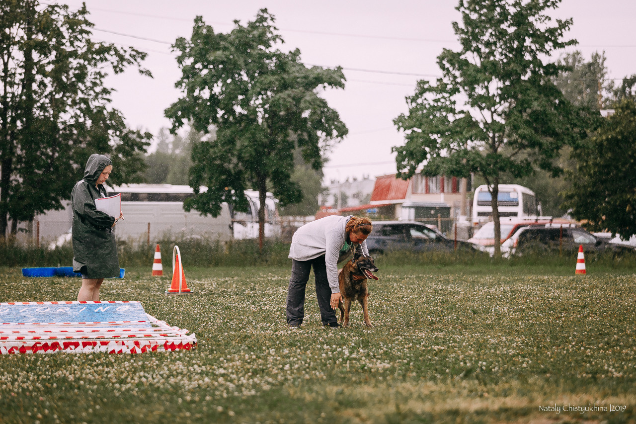 Соревнования по мондьорингу. Фотограф-анималист Наталия Чистюхина в г. Сосновый Бор и ЛО