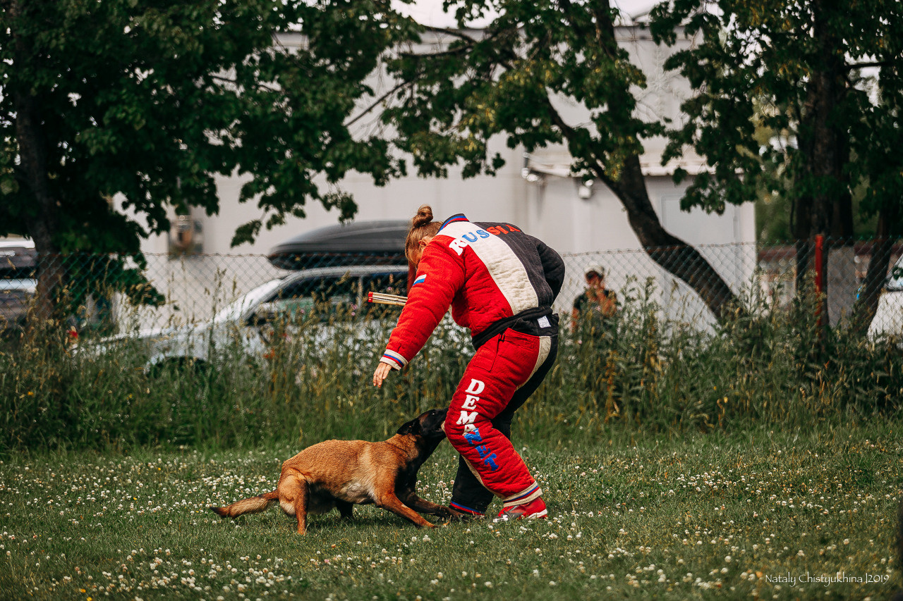 Соревнования по мондьорингу. Фотограф-анималист Наталия Чистюхина в г. Сосновый Бор и ЛО