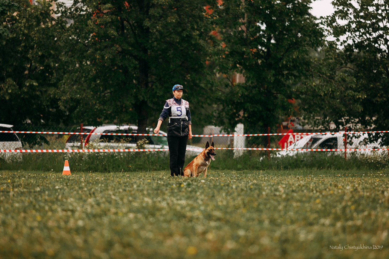 Соревнования БРР. Фотограф-анималист Наталия Чистюхина в г. Сосновый Бор и ЛО