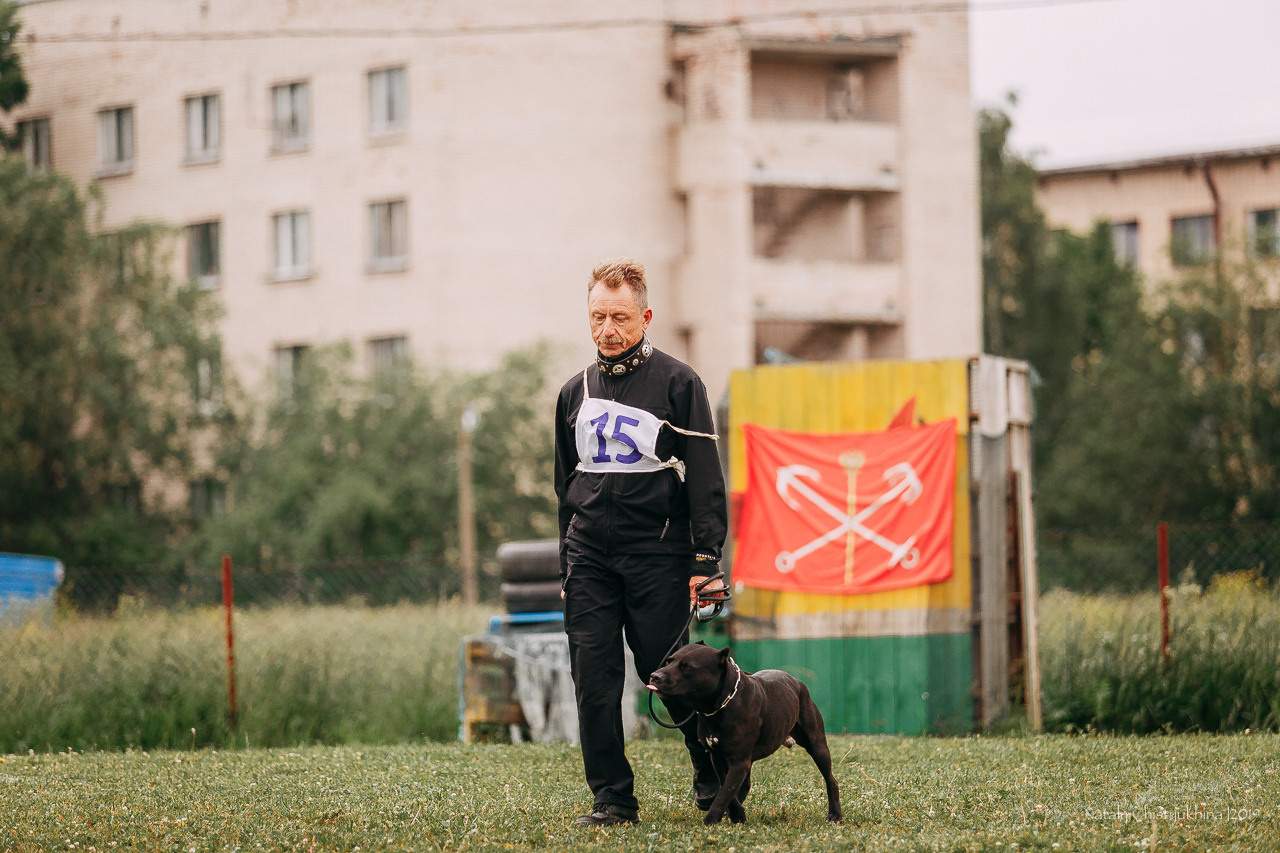 Соревнования БРР. Фотограф-анималист Наталия Чистюхина в г. Сосновый Бор и ЛО