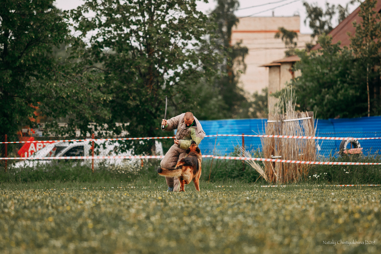 Соревнования БРР. Фотограф-анималист Наталия Чистюхина в г. Сосновый Бор и ЛО