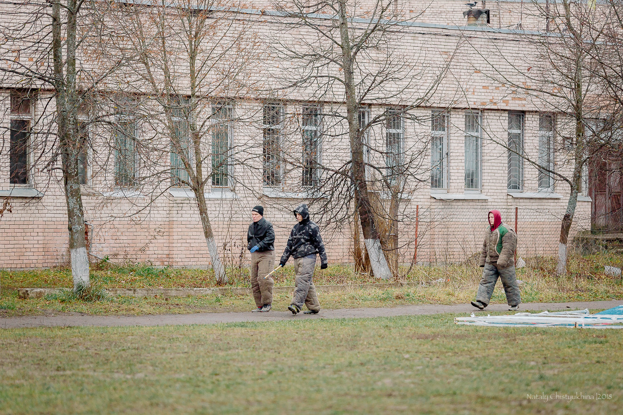 Семинары по мондио. Фотограф-анималист Наталия Чистюхина в г. Сосновый Бор и ЛО