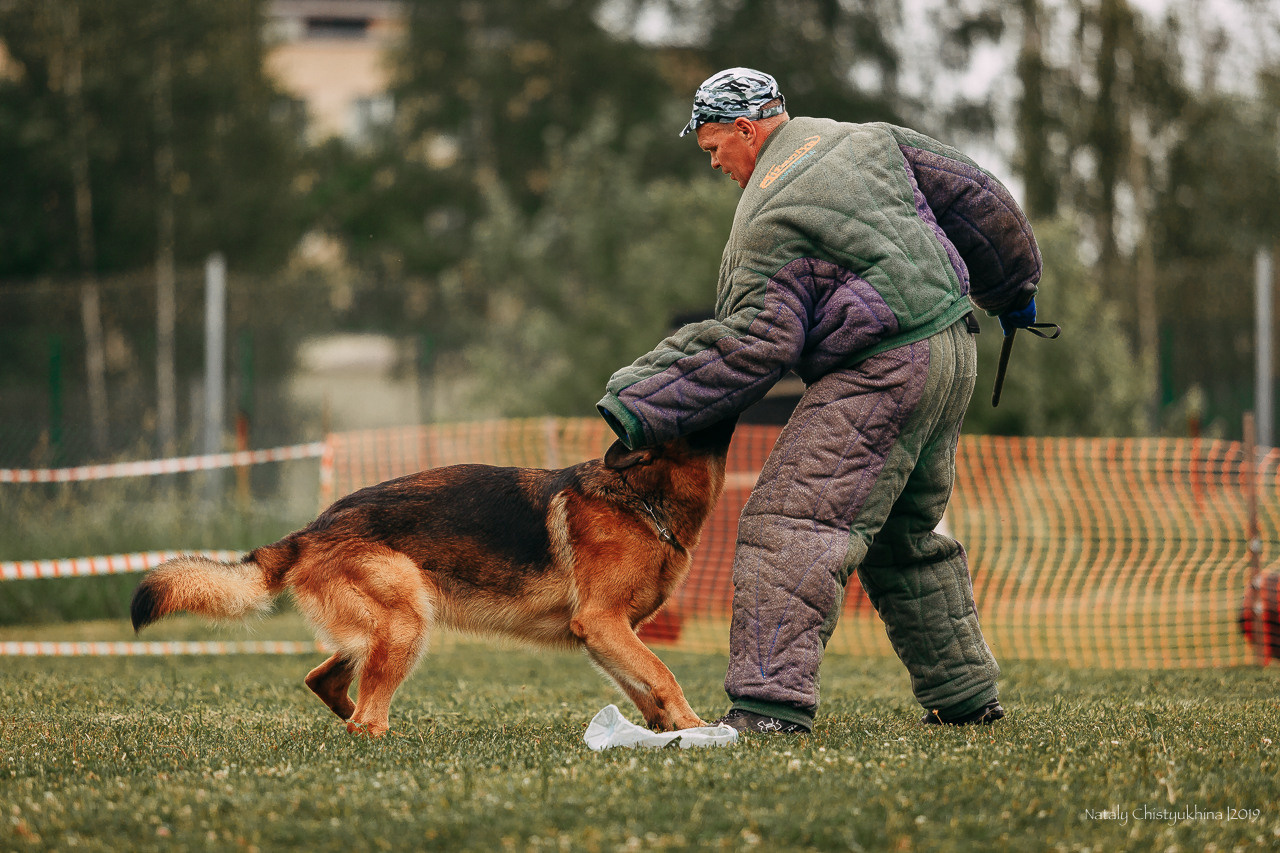 Соревнования БРР. Фотограф-анималист Наталия Чистюхина в г. Сосновый Бор и ЛО