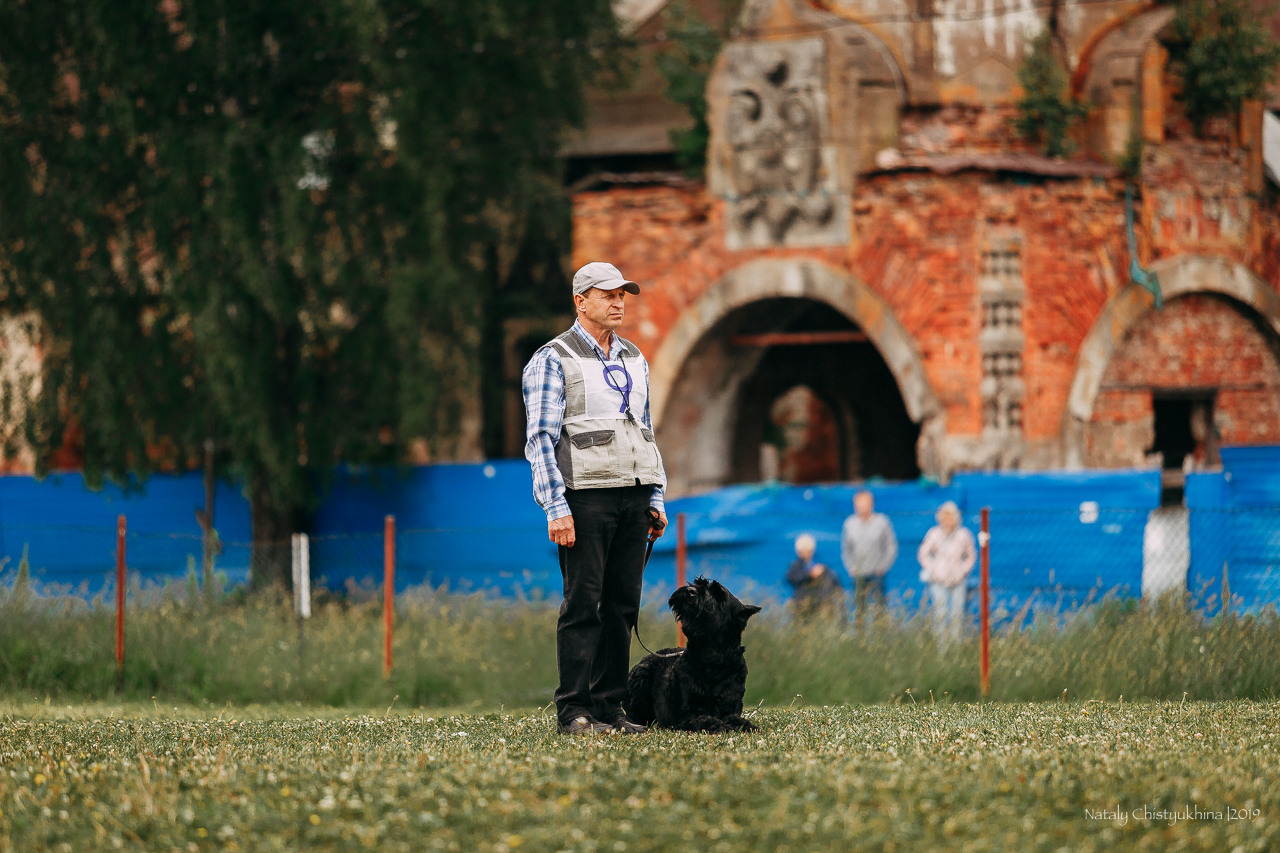 Соревнования БРР. Фотограф-анималист Наталия Чистюхина в г. Сосновый Бор и ЛО