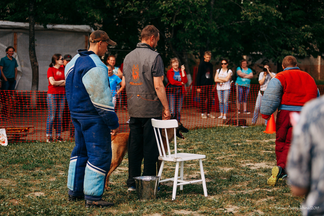 Соревнования по мондьорингу. Фотограф-анималист Наталия Чистюхина в г. Сосновый Бор и ЛО