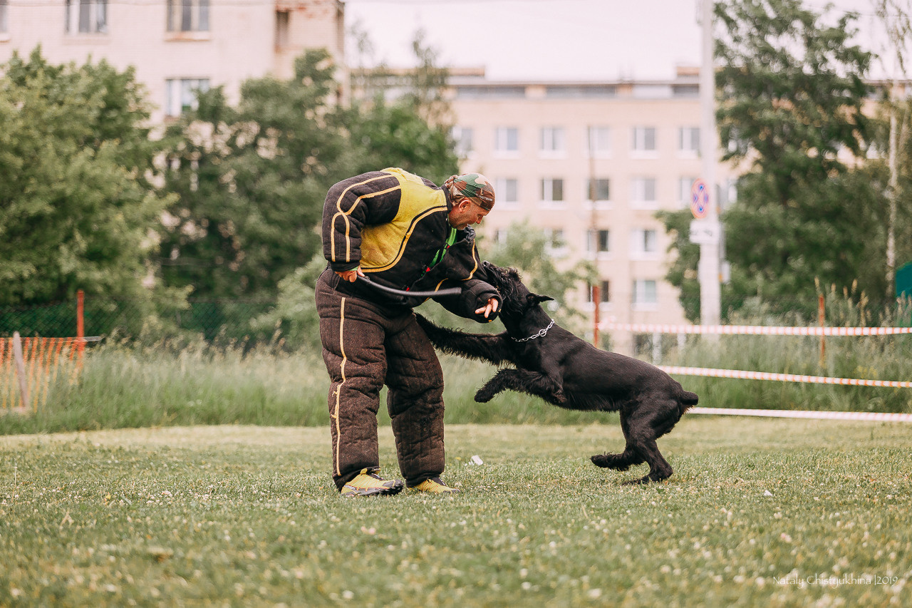Соревнования БРР. Фотограф-анималист Наталия Чистюхина в г. Сосновый Бор и ЛО