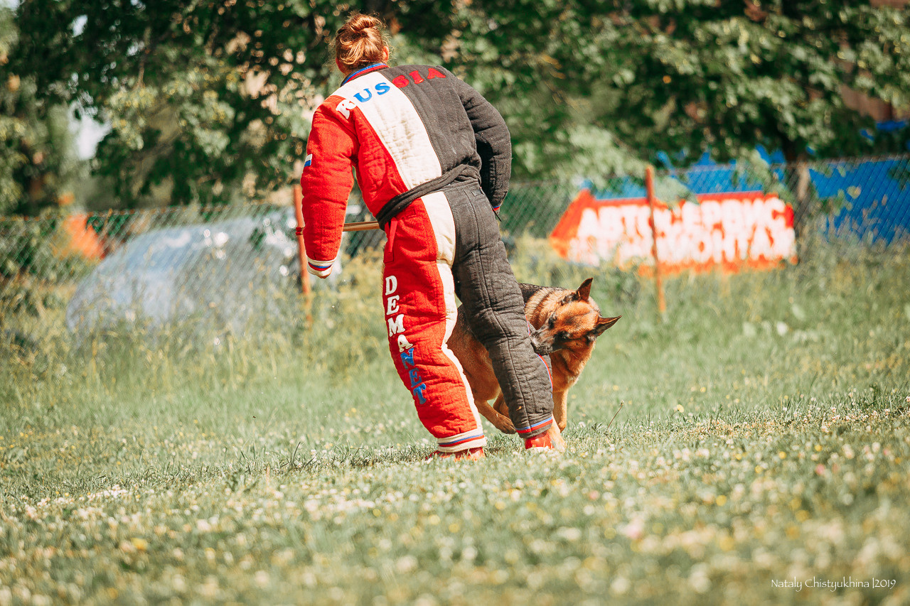 Соревнования по мондьорингу. Фотограф-анималист Наталия Чистюхина в г. Сосновый Бор и ЛО