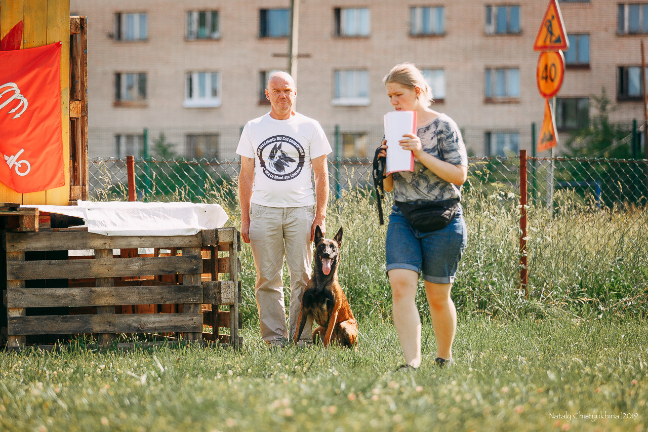 Соревнования по мондьорингу. Фотограф-анималист Наталия Чистюхина в г. Сосновый Бор и ЛО