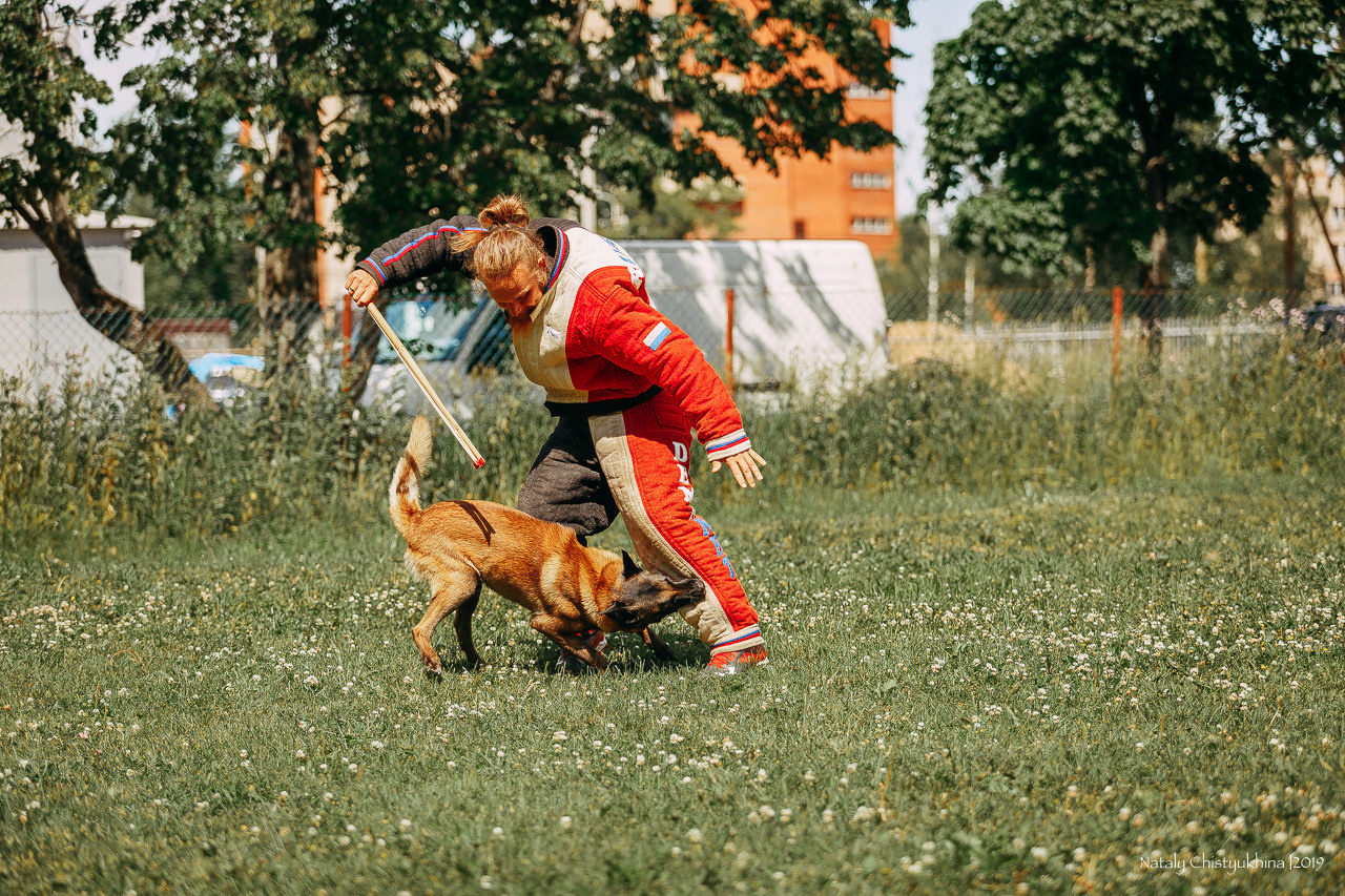 Соревнования по мондьорингу. Фотограф-анималист Наталия Чистюхина в г. Сосновый Бор и ЛО