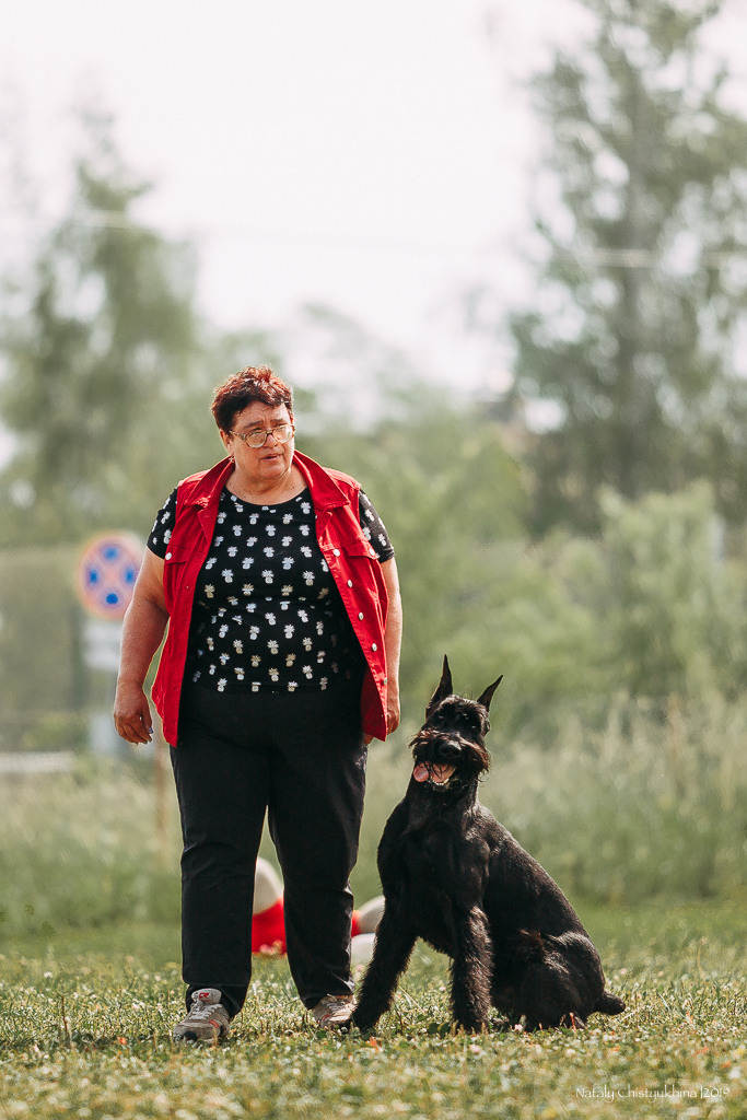 Соревнования по мондьорингу. Фотограф-анималист Наталия Чистюхина в г. Сосновый Бор и ЛО