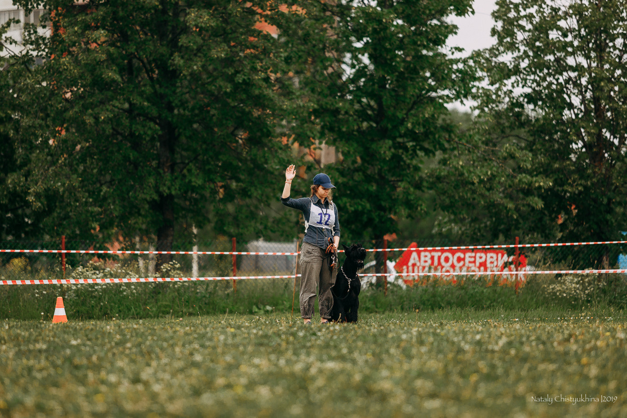 Соревнования БРР. Фотограф-анималист Наталия Чистюхина в г. Сосновый Бор и ЛО