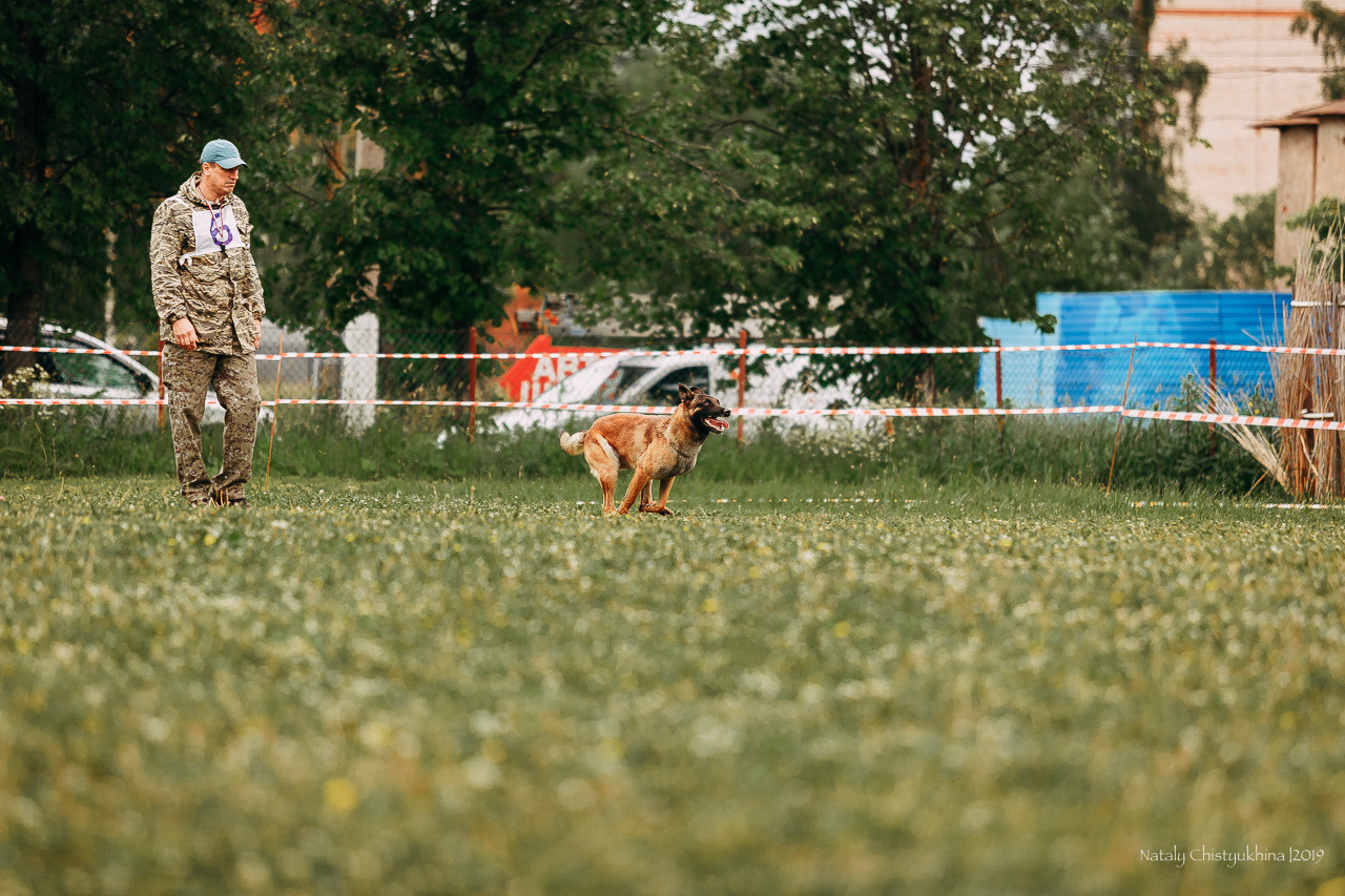 Соревнования БРР. Фотограф-анималист Наталия Чистюхина в г. Сосновый Бор и ЛО