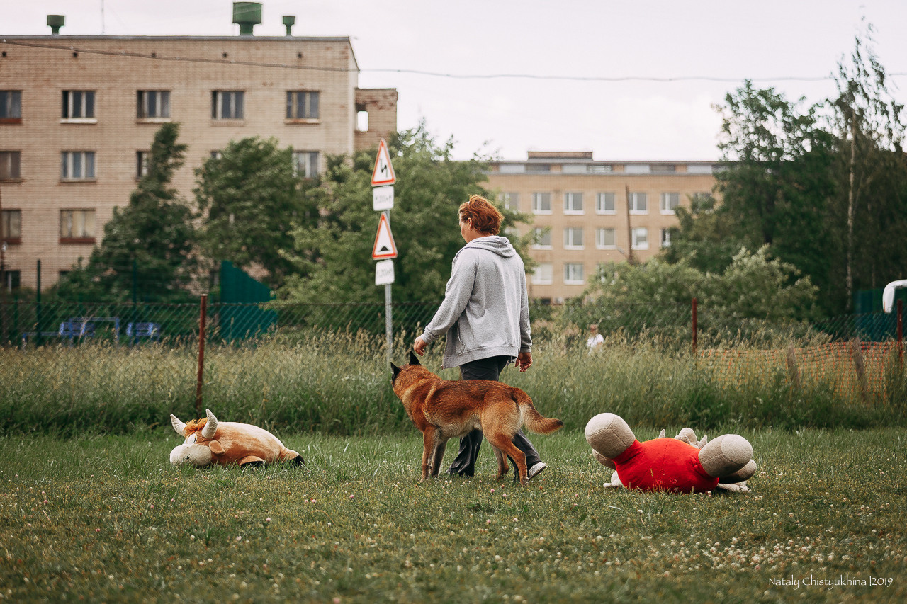 Соревнования по мондьорингу. Фотограф-анималист Наталия Чистюхина в г. Сосновый Бор и ЛО