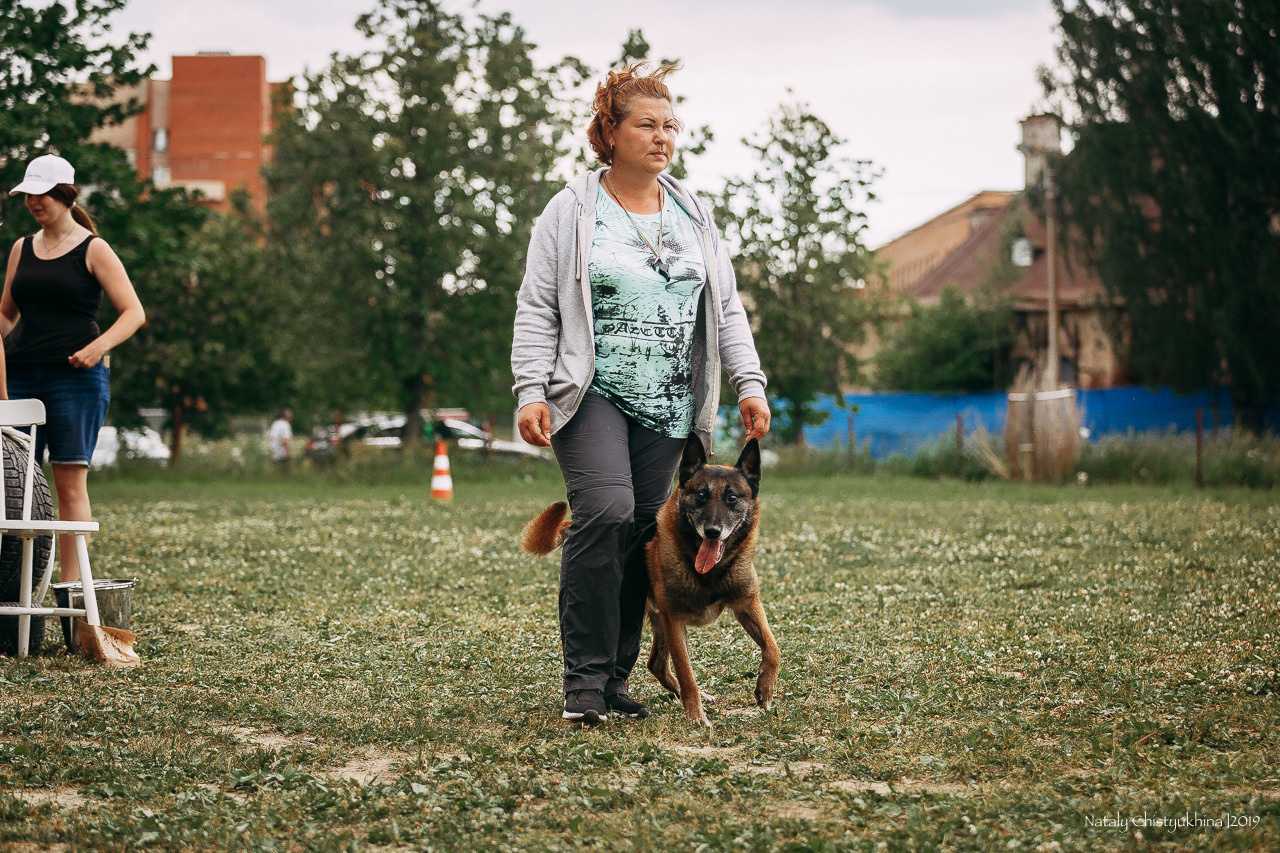 Соревнования по мондьорингу. Фотограф-анималист Наталия Чистюхина в г. Сосновый Бор и ЛО