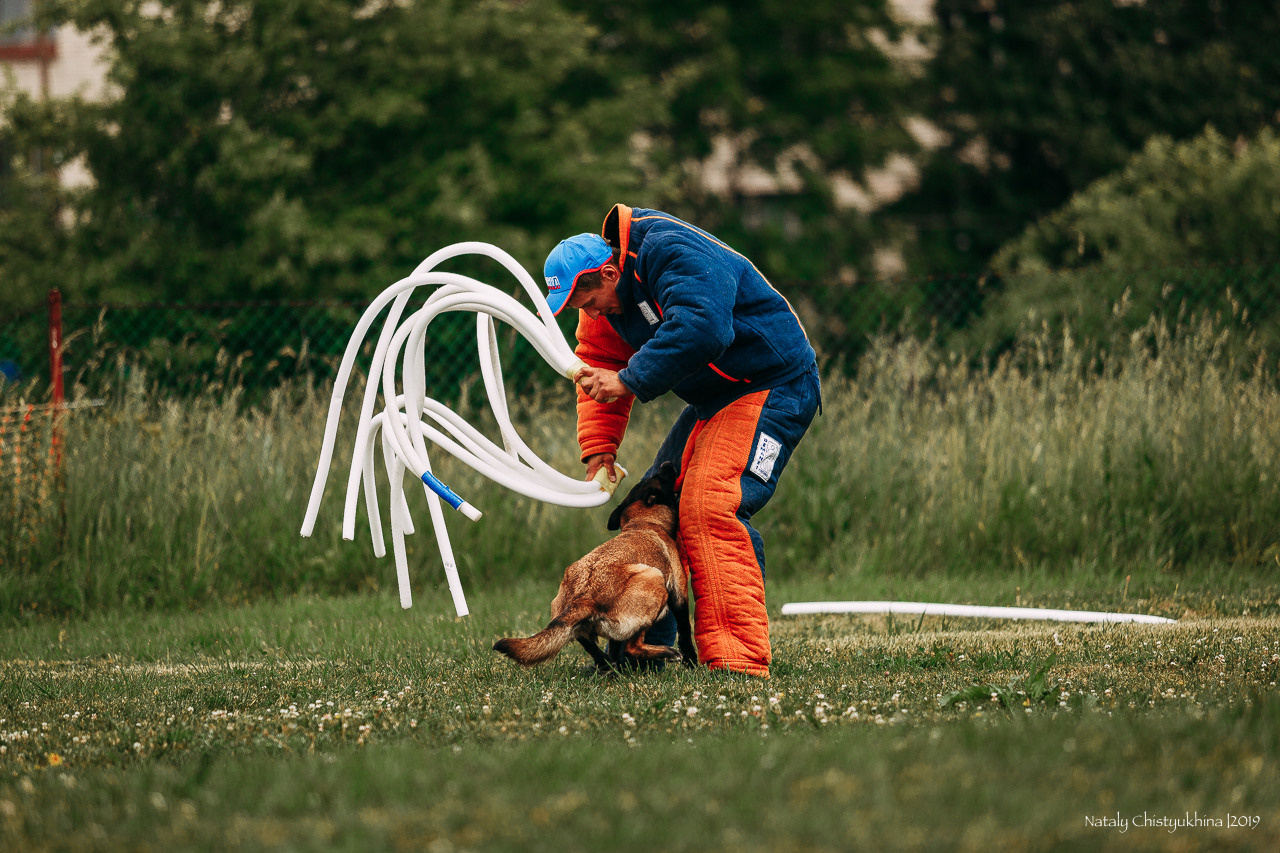 Соревнования по мондьорингу. Фотограф-анималист Наталия Чистюхина в г. Сосновый Бор и ЛО