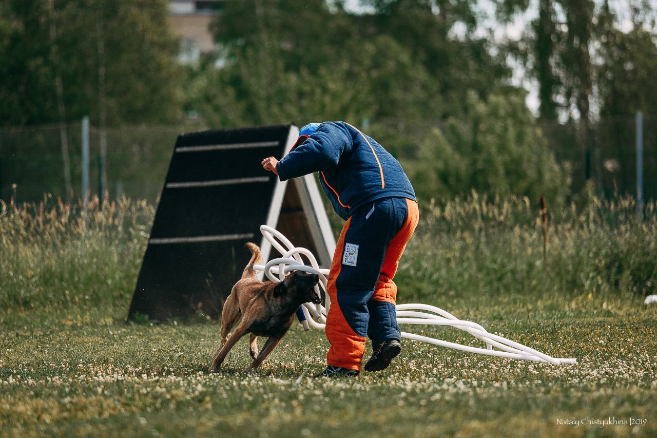 Соревнования по мондьорингу. Фотограф-анималист Наталия Чистюхина в г. Сосновый Бор и ЛО