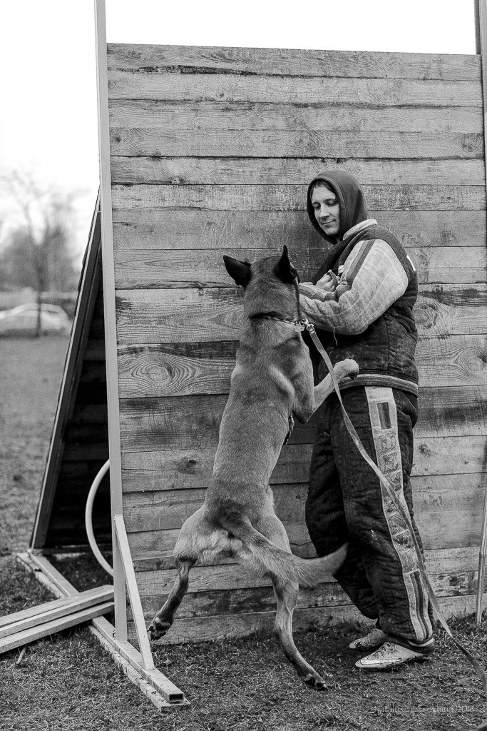 Семинары по мондио. Фотограф-анималист Наталия Чистюхина в г. Сосновый Бор и ЛО