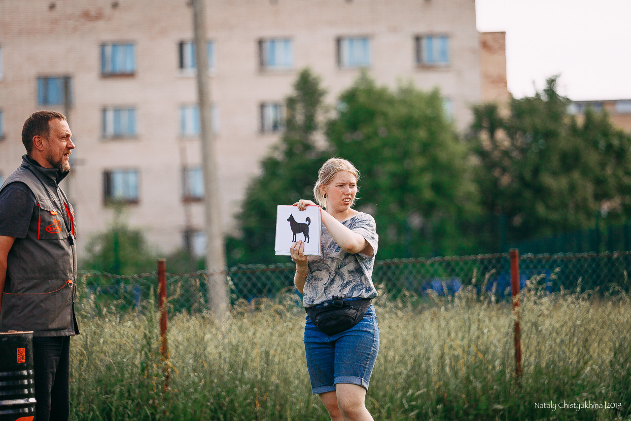 Соревнования по мондьорингу. Фотограф-анималист Наталия Чистюхина в г. Сосновый Бор и ЛО