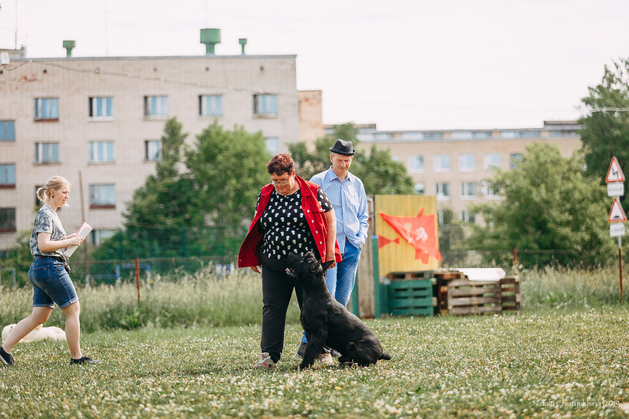 Соревнования по мондьорингу. Фотограф-анималист Наталия Чистюхина в г. Сосновый Бор и ЛО