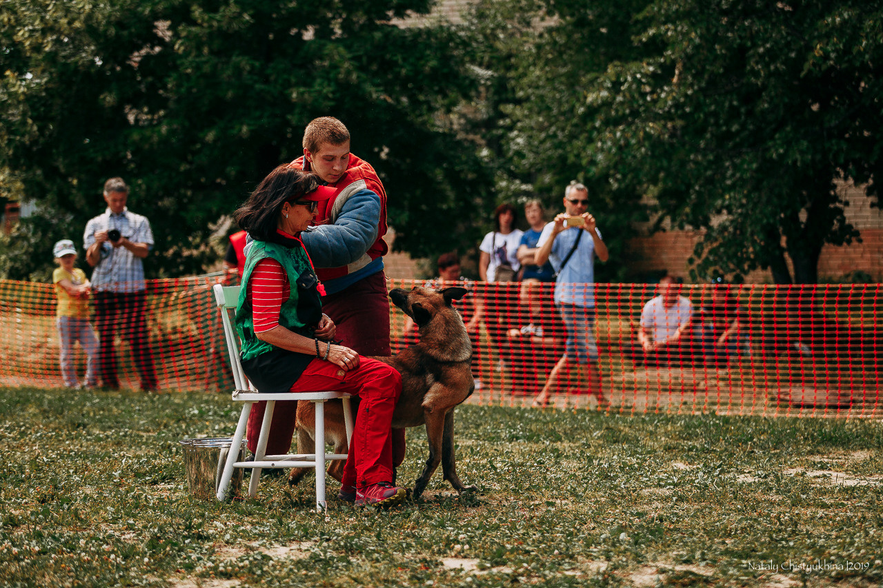 Соревнования по мондьорингу. Фотограф-анималист Наталия Чистюхина в г. Сосновый Бор и ЛО