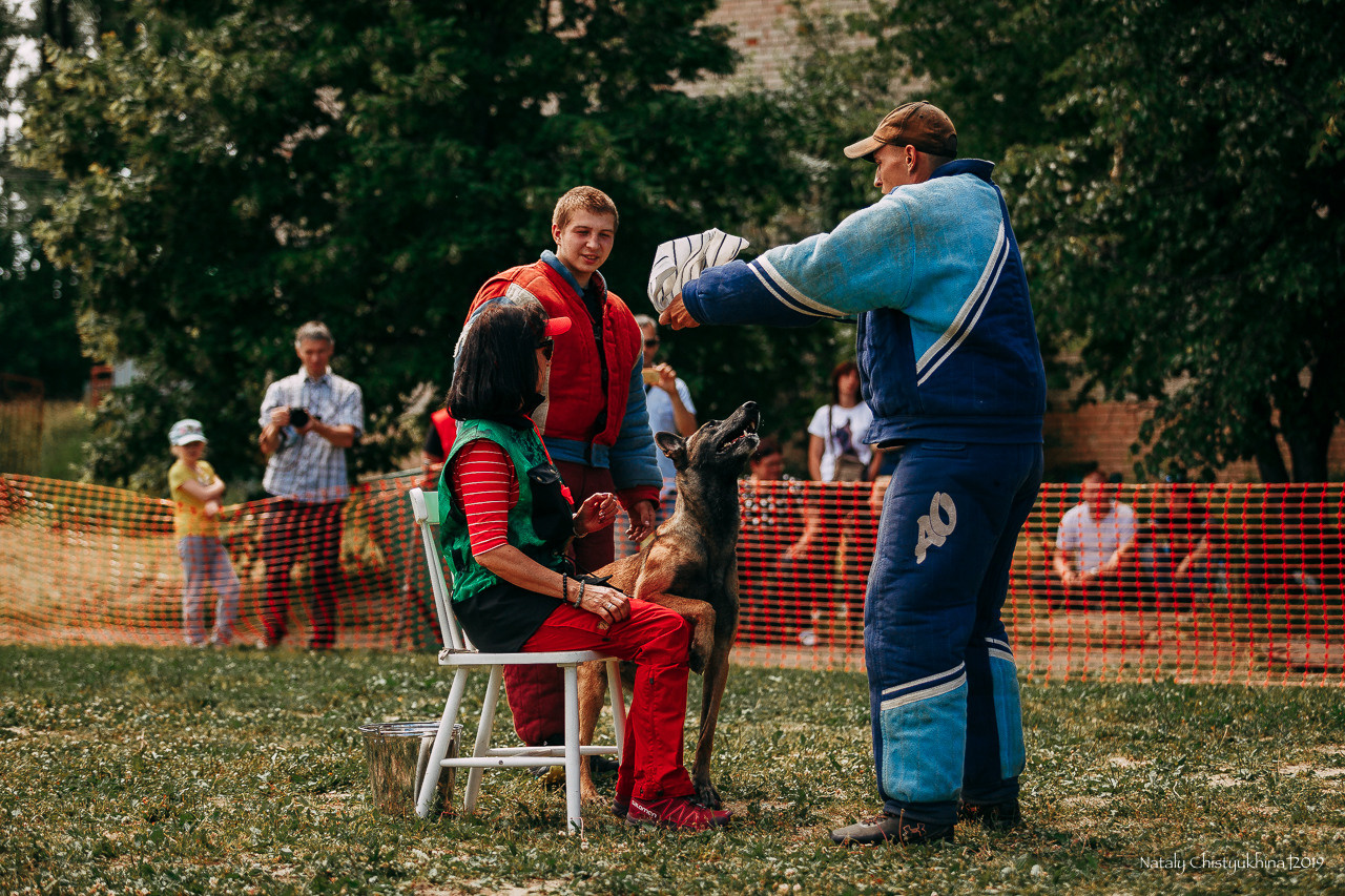 Соревнования по мондьорингу. Фотограф-анималист Наталия Чистюхина в г. Сосновый Бор и ЛО