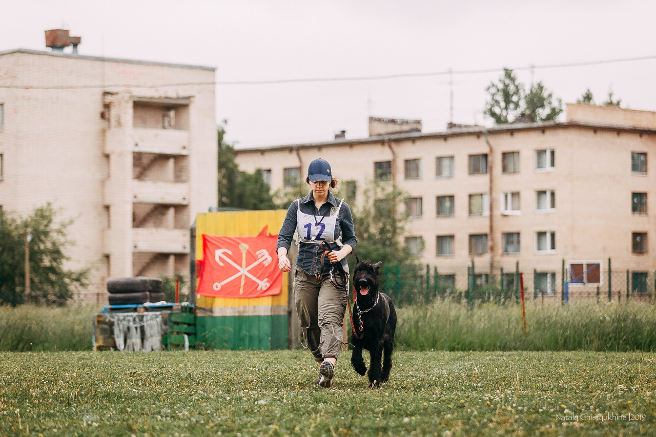 Соревнования БРР. Фотограф-анималист Наталия Чистюхина в г. Сосновый Бор и ЛО