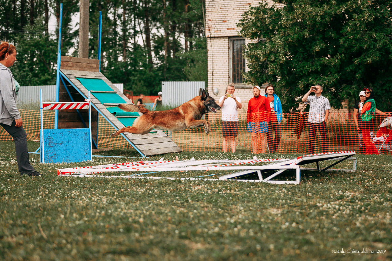 Соревнования по мондьорингу. Фотограф-анималист Наталия Чистюхина в г. Сосновый Бор и ЛО