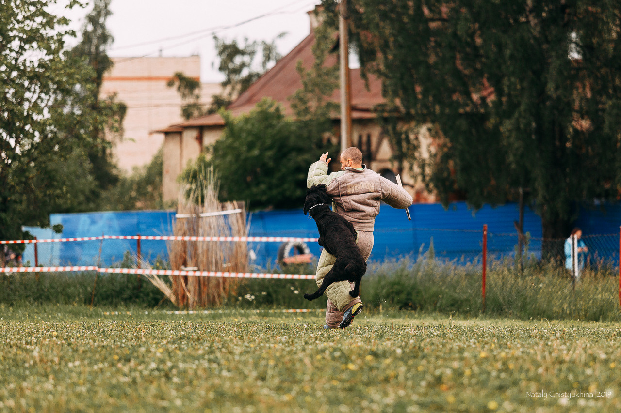 Соревнования БРР. Фотограф-анималист Наталия Чистюхина в г. Сосновый Бор и ЛО