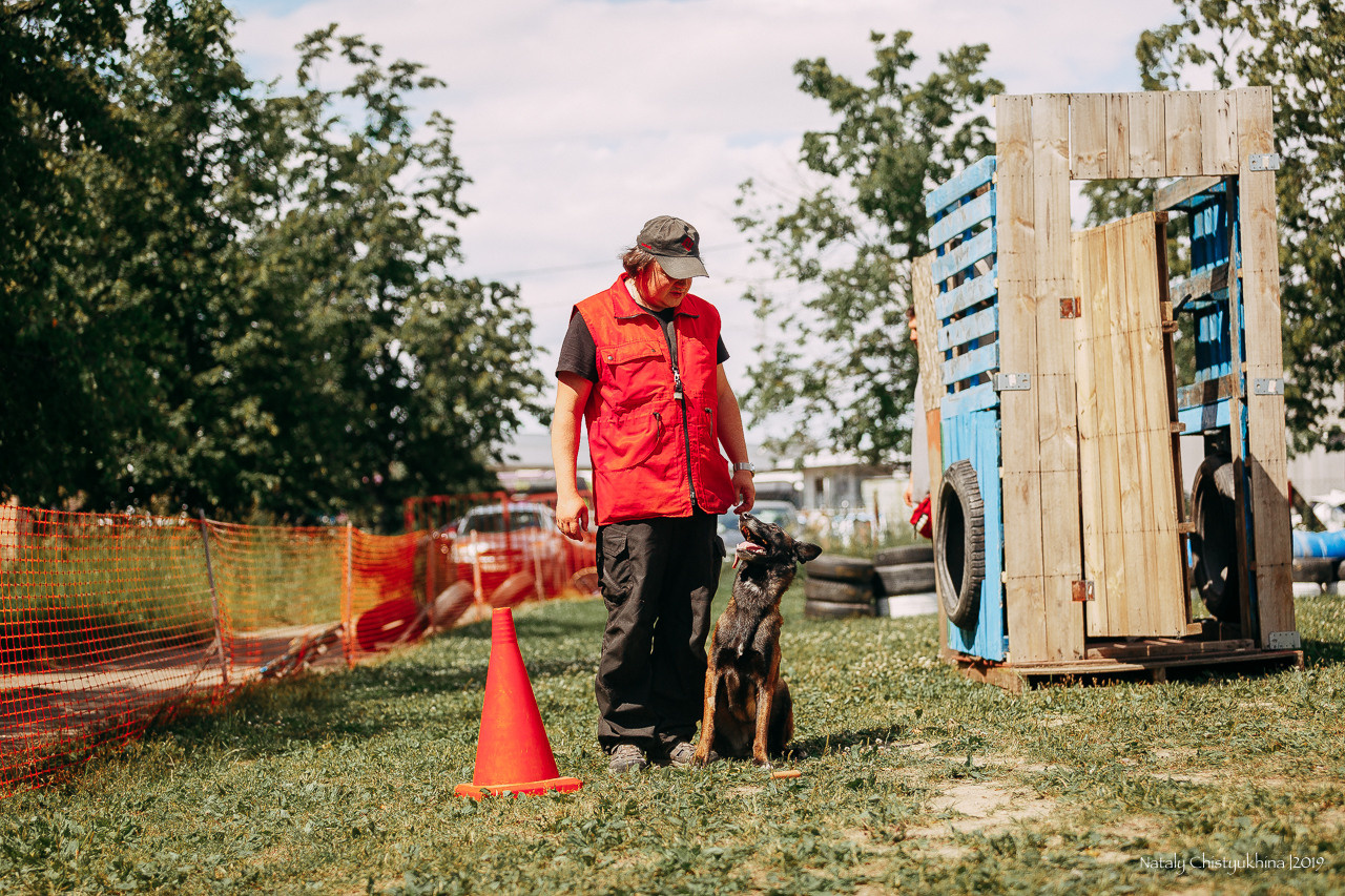 Соревнования по мондьорингу. Фотограф-анималист Наталия Чистюхина в г. Сосновый Бор и ЛО