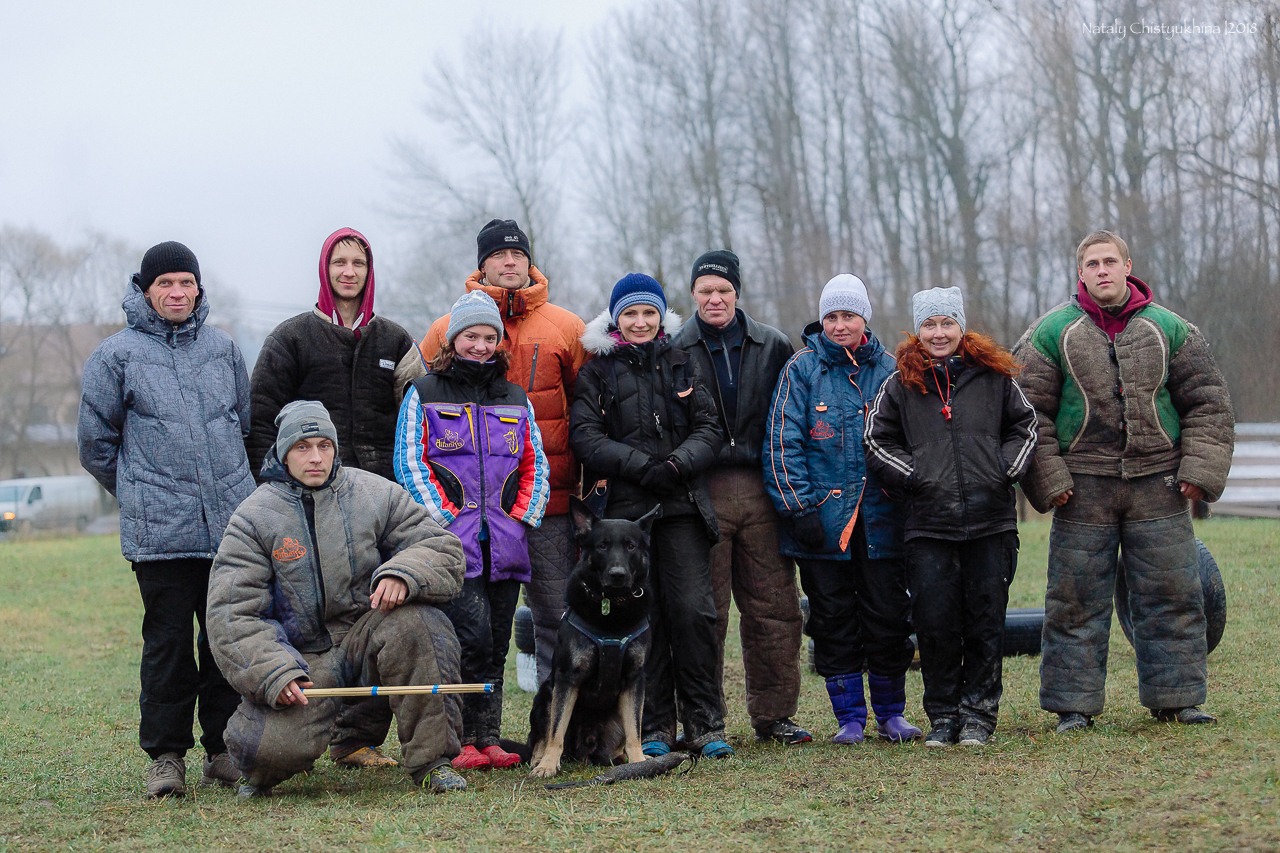 Семинары по мондио. Фотограф-анималист Наталия Чистюхина в г. Сосновый Бор и ЛО