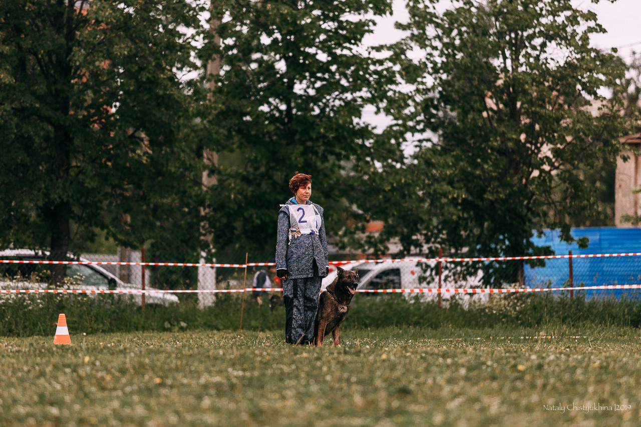 Соревнования БРР. Фотограф-анималист Наталия Чистюхина в г. Сосновый Бор и ЛО