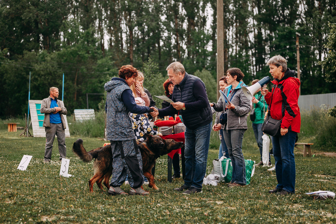 Соревнования БРР. Фотограф-анималист Наталия Чистюхина в г. Сосновый Бор и ЛО