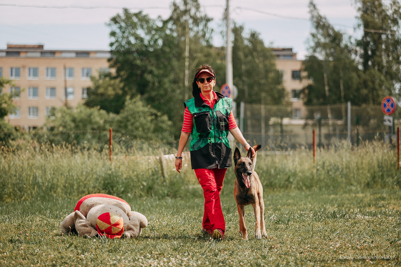 Соревнования по мондьорингу. Фотограф-анималист Наталия Чистюхина в г. Сосновый Бор и ЛО