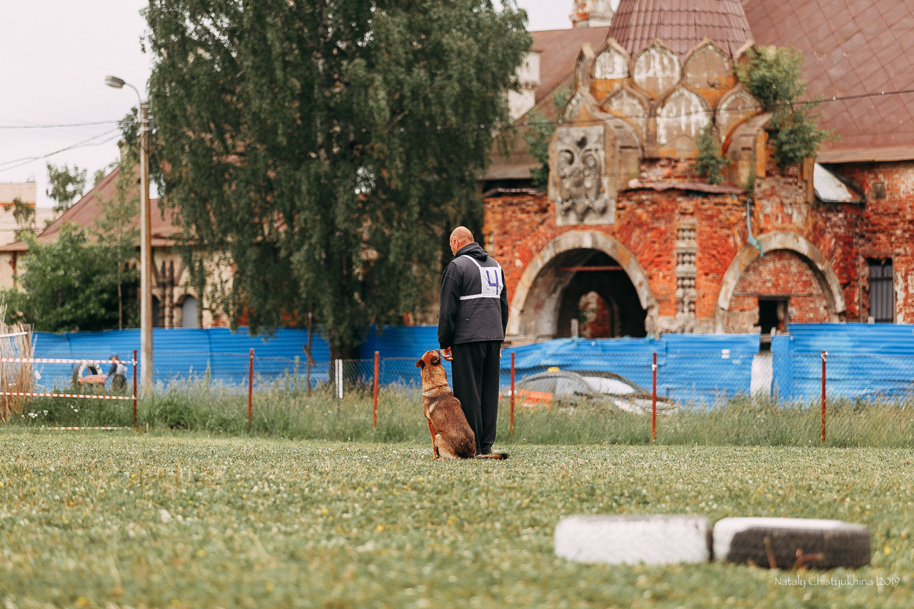 Соревнования БРР. Фотограф-анималист Наталия Чистюхина в г. Сосновый Бор и ЛО