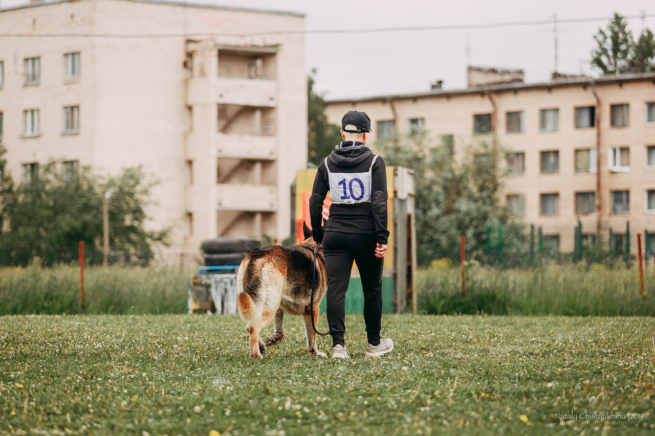Соревнования БРР. Фотограф-анималист Наталия Чистюхина в г. Сосновый Бор и ЛО