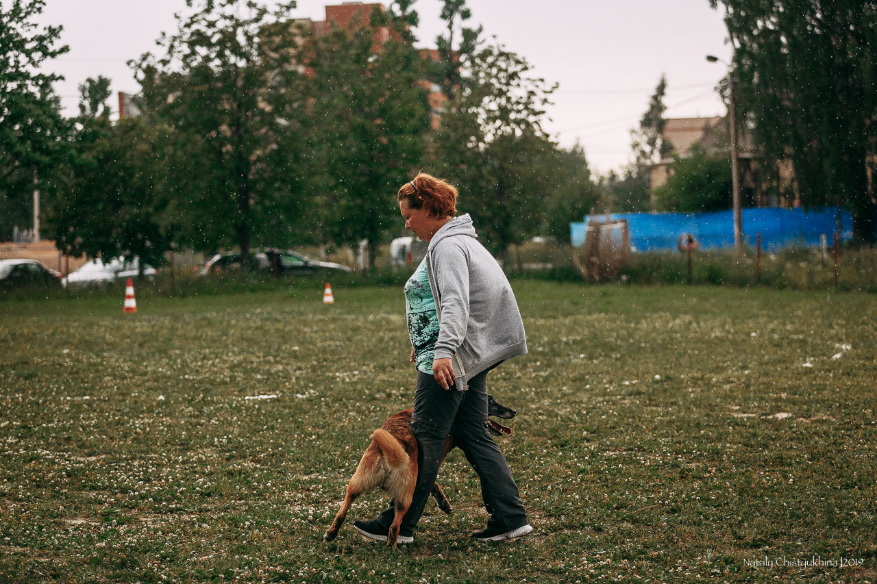 Соревнования по мондьорингу. Фотограф-анималист Наталия Чистюхина в г. Сосновый Бор и ЛО