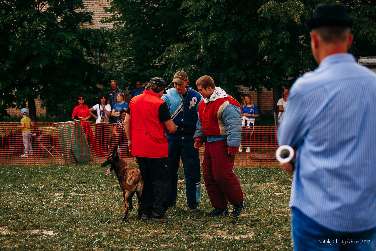 Соревнования по мондьорингу. Фотограф-анималист Наталия Чистюхина в г. Сосновый Бор и ЛО