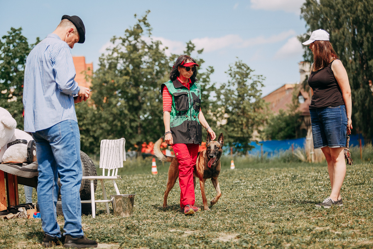 Соревнования по мондьорингу. Фотограф-анималист Наталия Чистюхина в г. Сосновый Бор и ЛО