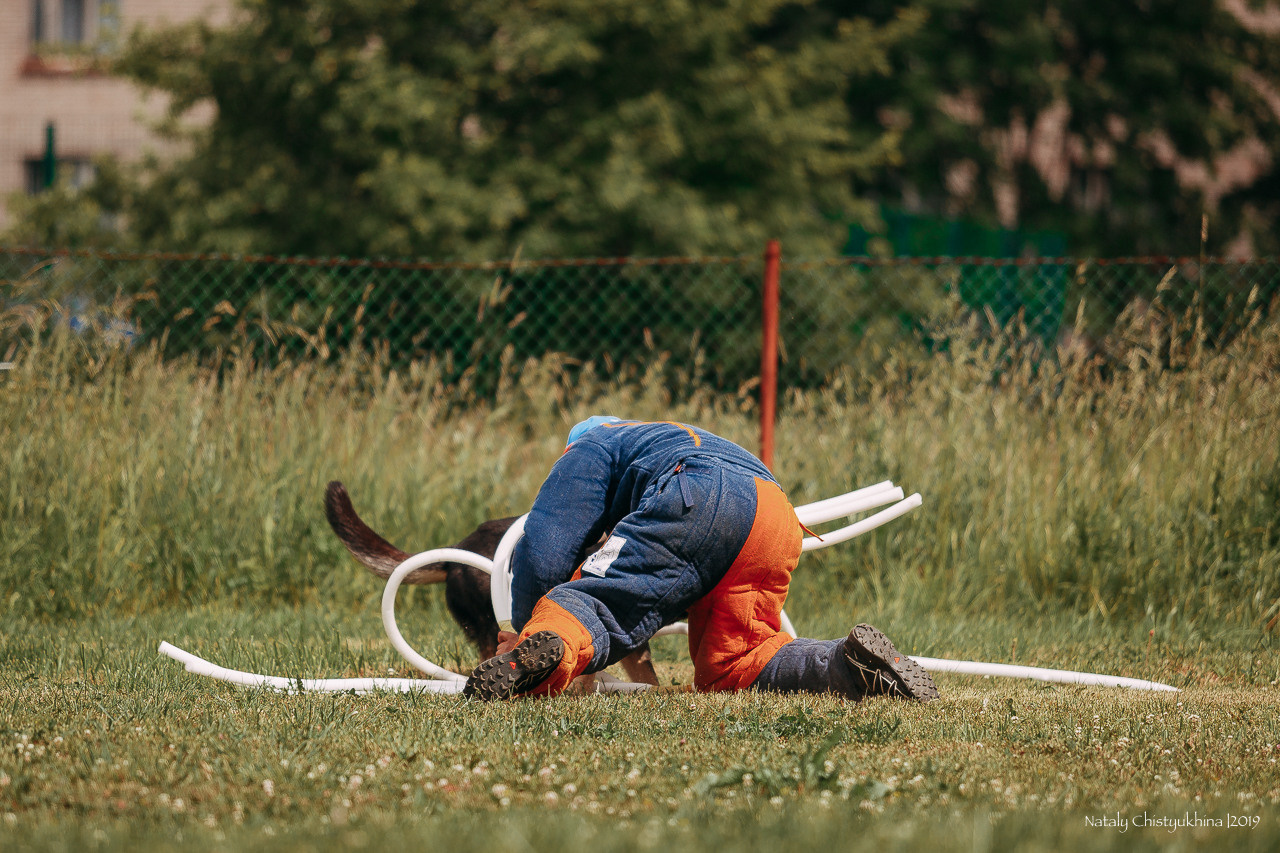 Соревнования по мондьорингу. Фотограф-анималист Наталия Чистюхина в г. Сосновый Бор и ЛО