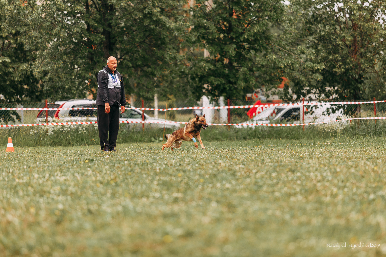 Соревнования БРР. Фотограф-анималист Наталия Чистюхина в г. Сосновый Бор и ЛО