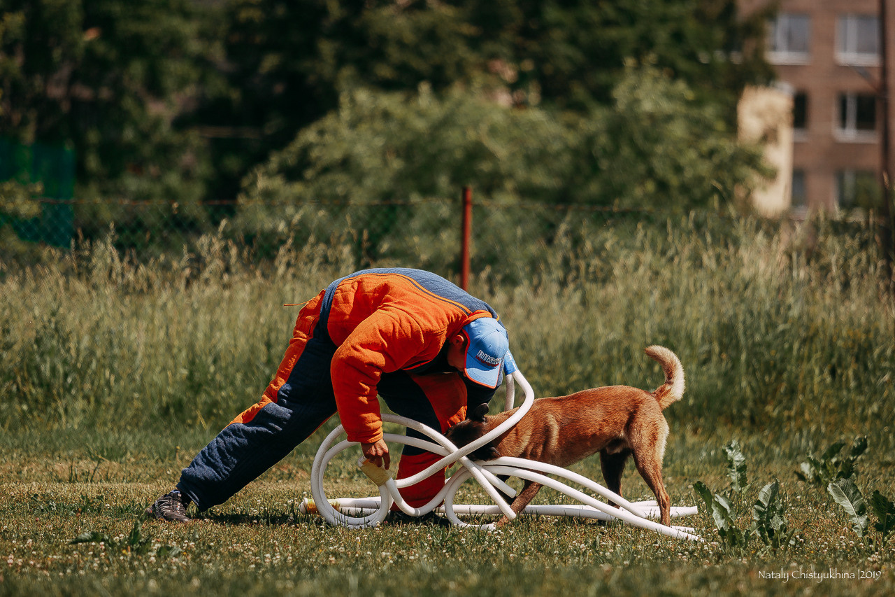 Соревнования по мондьорингу. Фотограф-анималист Наталия Чистюхина в г. Сосновый Бор и ЛО